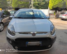 Fiat Punto Evo Punto Evo 1.2 5 porte Active