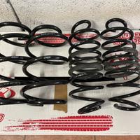 Molle eibach ford focus