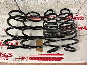 Molle eibach ford focus