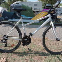 Mtb 26 pollici