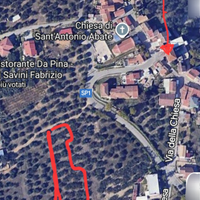 Terreno a uliveto