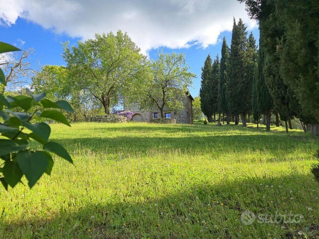 Rustico / Casale di 600 m² con più di 5 locali e b - Vista 5