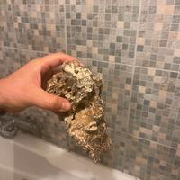 Rocce Vive acquario marino