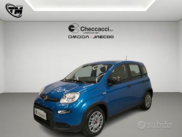 FIAT Panda 3ª serie Panda 1.0 FireFly S&S Hybrid