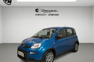 FIAT Panda 3ª serie Panda 1.0 FireFly S&S Hybrid