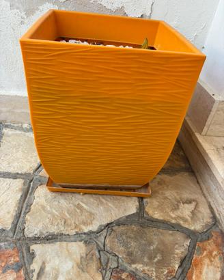 Vasi da arredo