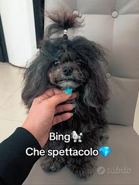 Tea cup per monta