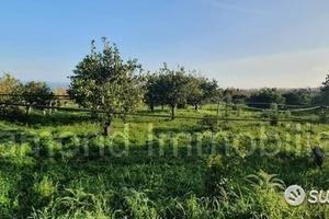 Terreno 15.000mq a Piedimonte Etneo