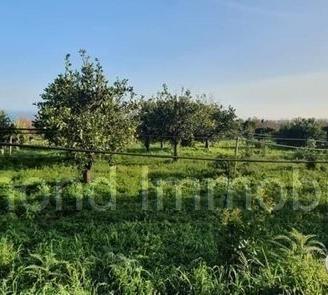 Terreno 15.000mq a Piedimonte Etneo