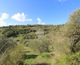 TER. AGRICOLO A AGROPOLI