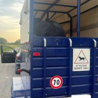 Trailer 2 posti