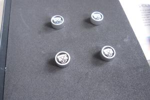 Jaguar Coprivalvole Tappi Pneumatici Accessorio