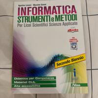 informatica strumenti e metodi