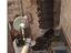 Immagine 19
