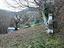 Immagine 11