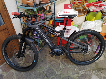 Olympia ebike fullcarbon