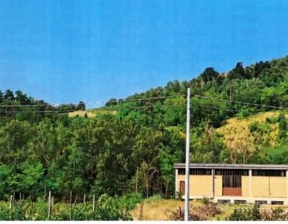 Immobile in asta di 121256 m² a Borgoratto Mormoro - Vista 3