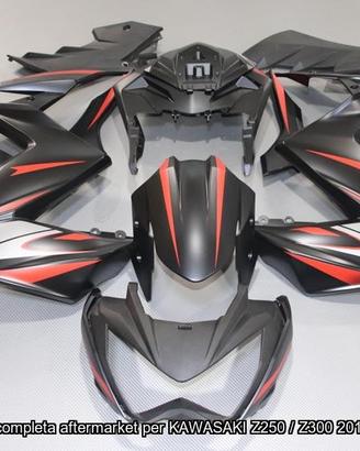 Promo Carena compatibile KAWASAKI Z250 / Z300 2015