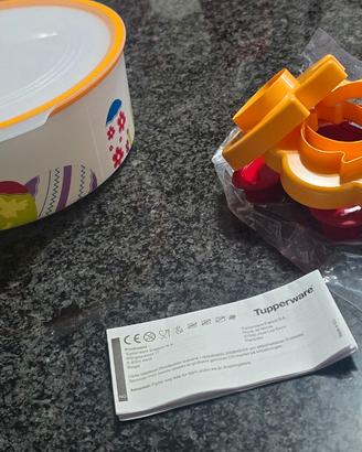 contenitore tupperware