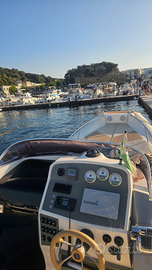 Gommone Nuova Jolly Prince 34