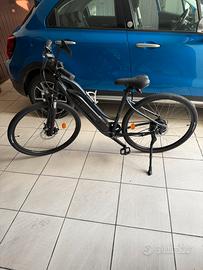 Bici Riverside 100 E