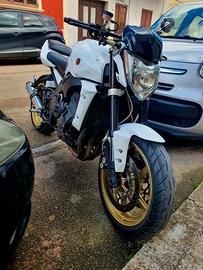 yamaha fz1 1000