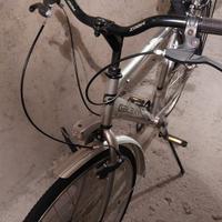 city bike donna raggio 26 