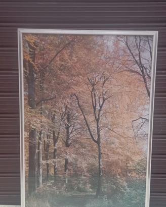 Quadro d'arredo