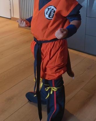costume goku dragon ball bambino(110-120 cm)