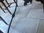 Immagine 5