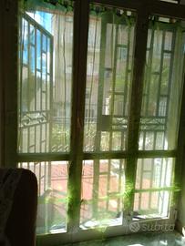  Sei.  tende. di colore verde Linea Oro 