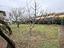 Immagine 28