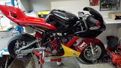 minimoto d1