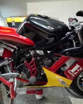 minimoto d1