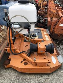 Piatto berti frutti200