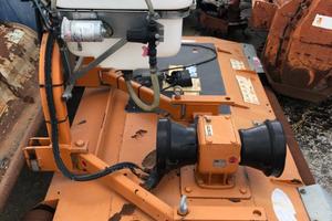 Piatto berti frutti200