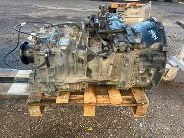 Cambio ZF Ecomid 9S 1310 TO MAN TGM 290 2022