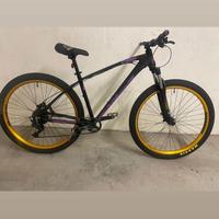 Collective c100  bici