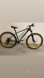 Collective c100  bici