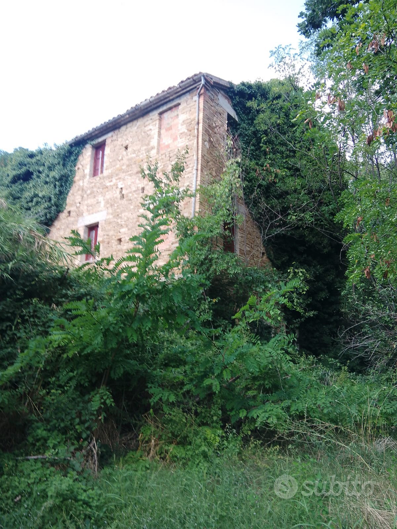 Rustico con terreno - Vista 2