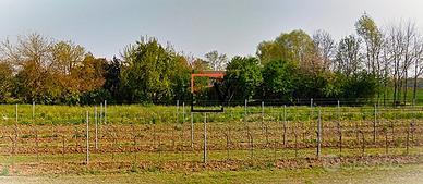 RUSTICO CON ANNESSO