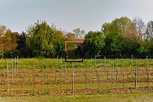 RUSTICO CON ANNESSO