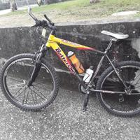 Mountain bike Bottecchia 