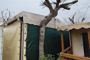 Tensostruttura in Legno