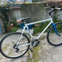 Montanbike Atala