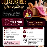 Collaboratrice domestica 