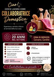 Collaboratrice domestica 