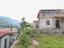 Immagine 7