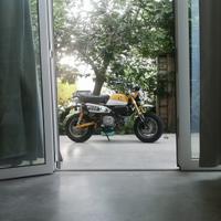 Honda Monkey 125 - 2019