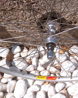 cerchio Mavic